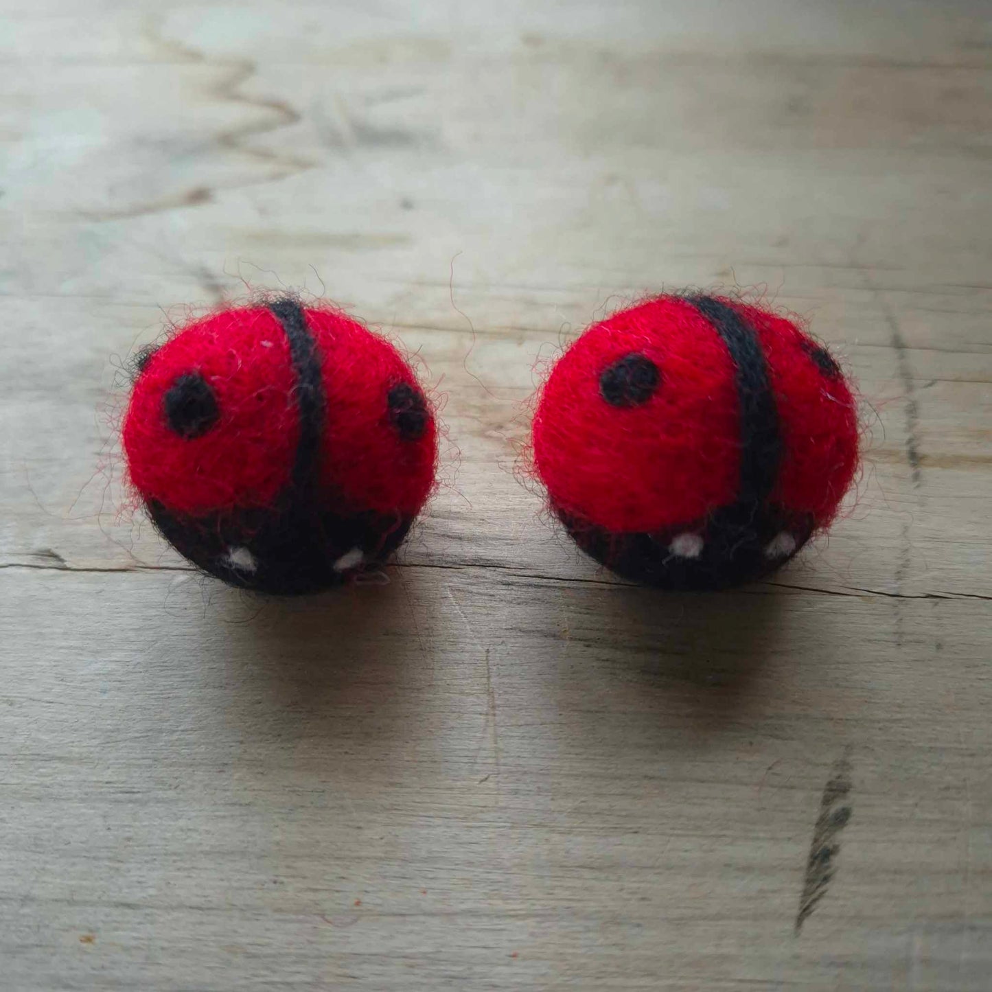 2pc Felt Ladybird Set