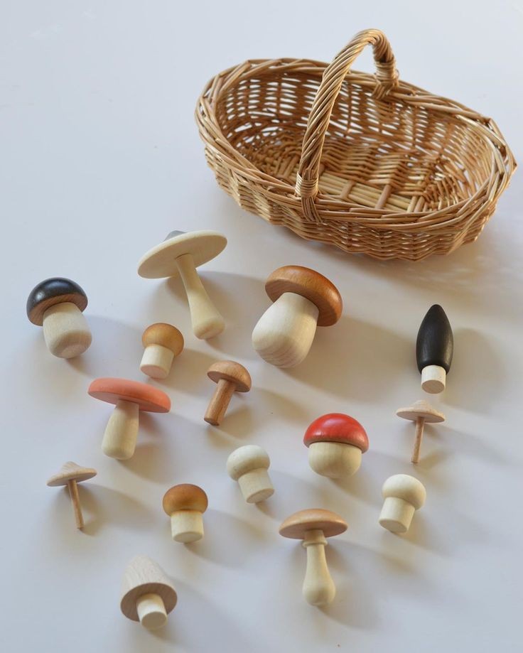 Wild Forest Mushroom Set