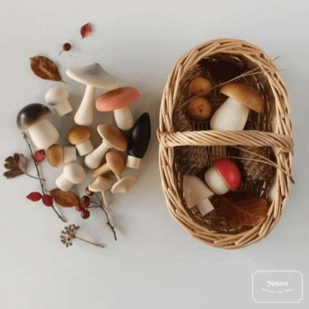 Wild Forest Mushroom Set